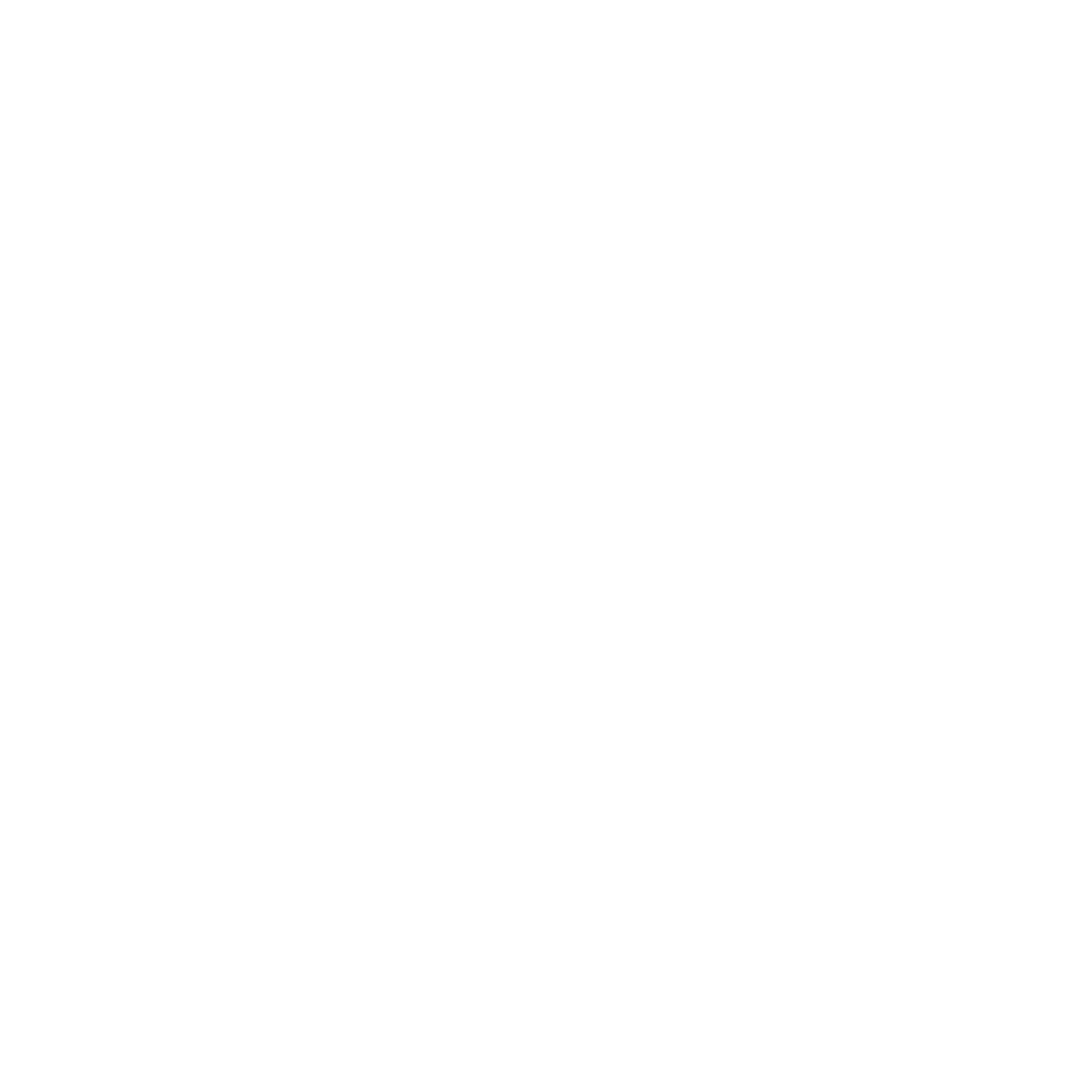 chip
